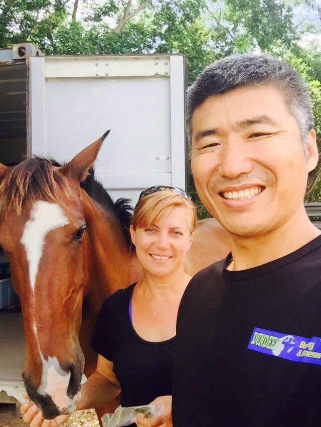 equus terra horse school - boxing gym brisbane